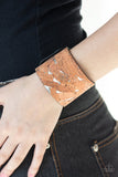 Cork Congo Silver Paparazzi Bracelet All Eyes On U